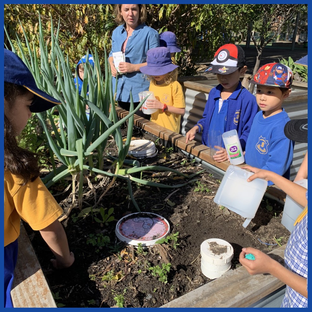 Marrickville PS helping the environment