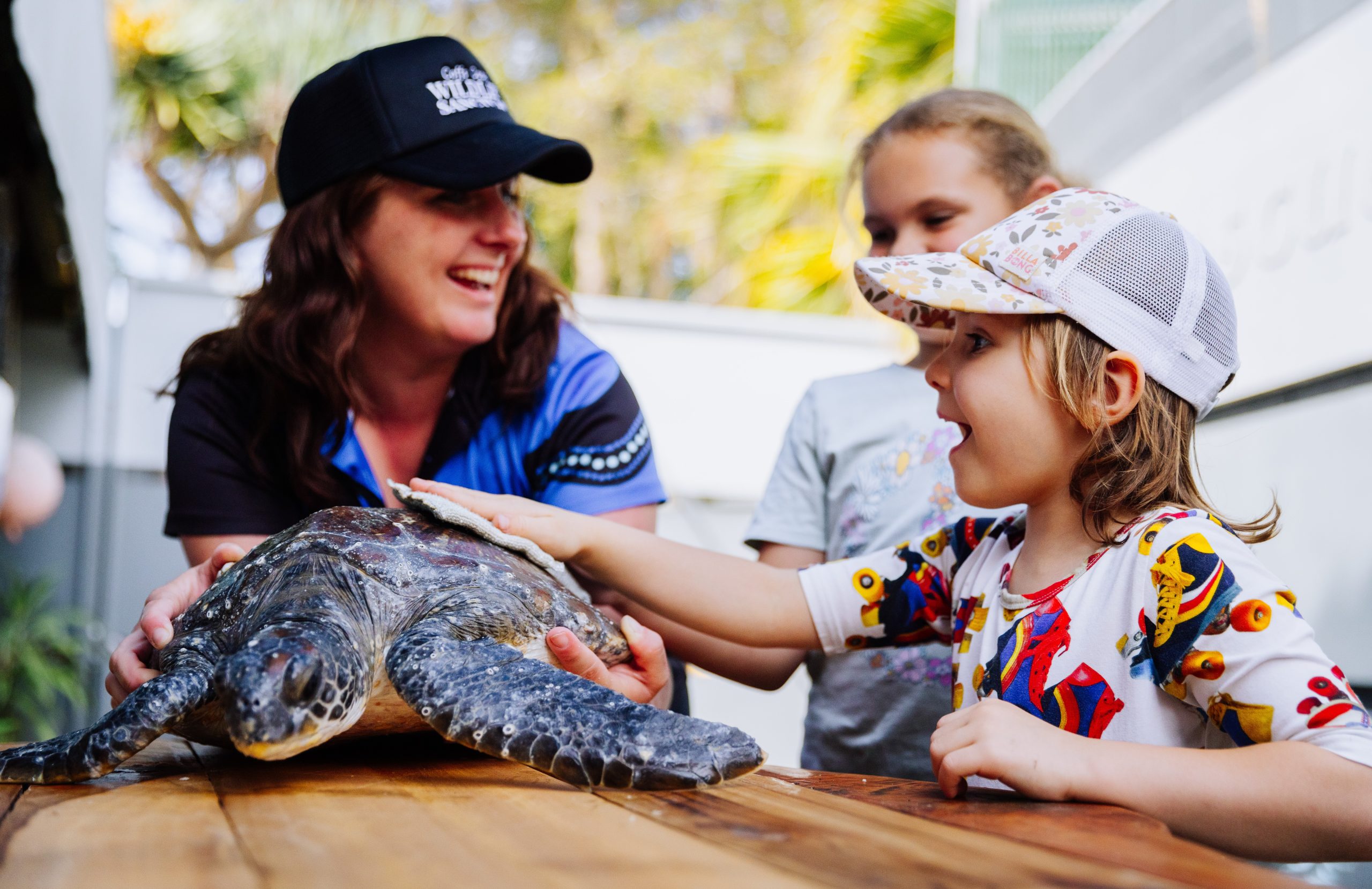 Coffs Coast Wildlife Sanctuary Protecting wildlife and waterways with Return and Earn